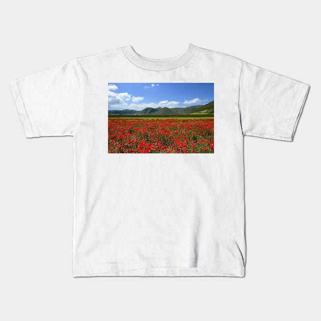 Poppies in Pian Grande Kids T-Shirt by annalisa56